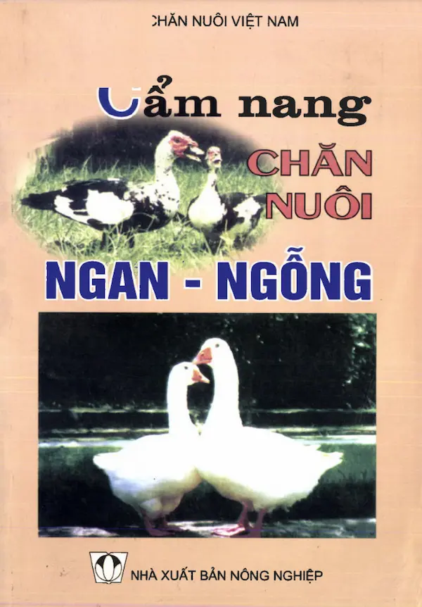 Cẩm Nang Chăn Nuôi Ngan – Ngỗng